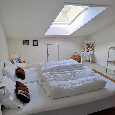 Well Equipped Big In Lofoten Apartman *