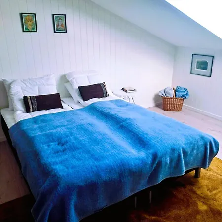 Well Equipped Big In Lofoten Apartman *