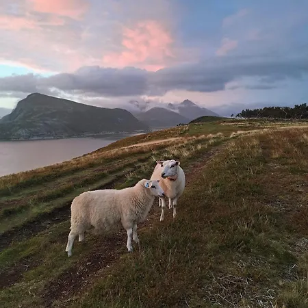 Well Equipped Big In Lofoten Lejlighed
